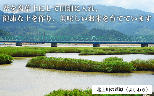 令和6年産 ヨシ腐葉土米 ひとめぼれ 精米8kg（4kg×2袋）