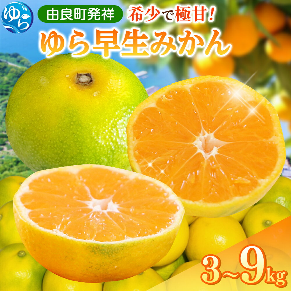 【ふるさと納税】 みかん 早生 ゆら早生 / 3kg 4.5kg 9kg 極早生 温州みかん 柑橘 和歌山 由良町 甘い ※先行予約 2025年10月中旬～順次発送 //meisan //best
