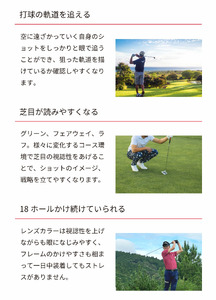 SWANS サングラス スポーツ ゴルフ サングラス メガネ サングラス