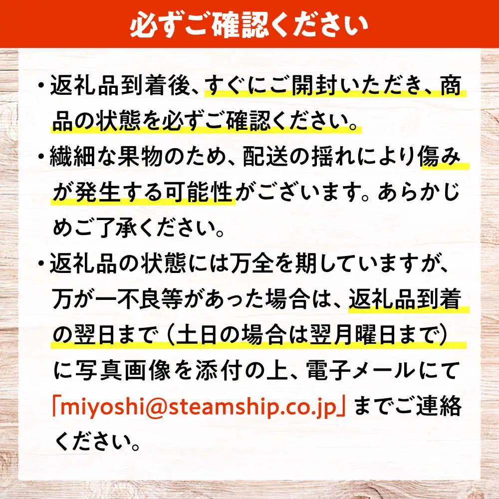 ぶどう BKシードレス 2房 三次市 [APAB008] ブドウ