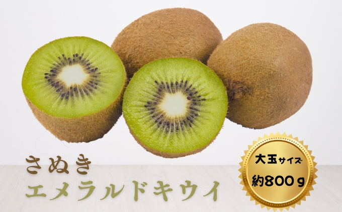 キウイ さぬきエメラルド 香川県産 国産 小豆島 約800g 3個から6個 5Lサイズ 3Lサイズ キウイフルーツ 糖度 品種 デザート 朝食 生食 スムージー ヨーグルト ジュース 果物 フルーツ くだもの 常温 ギフト 贈り物 お取り寄せ 五色青果 香川県 土庄町