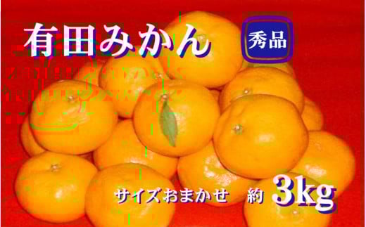 紀州有田みかん 秀品 ３kg（L・M・Sサイズおまかせ）　※2025年11月下旬～2026年1月中旬頃発送予定  / みかん ミカン フルーツ 果物 くだもの 柑橘 和歌山 【sml128A】