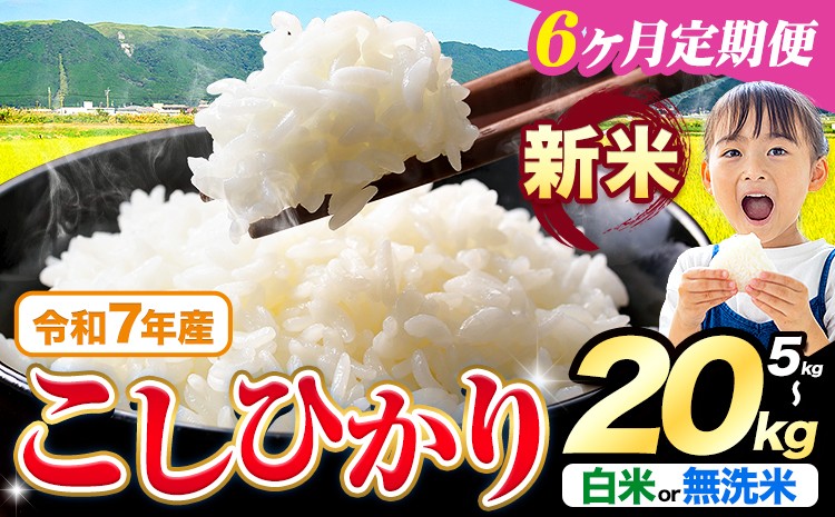 
            【6ヶ月定期便】令和7年産 新米 無洗米 も選べる こしひかり 5kg 10kg 15kg 20kg 定期便 も選べる《お申込みの翌月出荷》熊本県産 ふるさと納税 無洗米 白米 精米 ひの 米 こめ ふるさとのうぜい コシヒカリ コメ お米 おこめ
          
