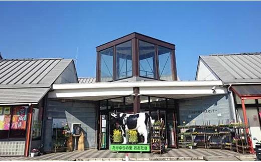 T03018 道の駅たけゆらの里おおたき特選詰め合わせC