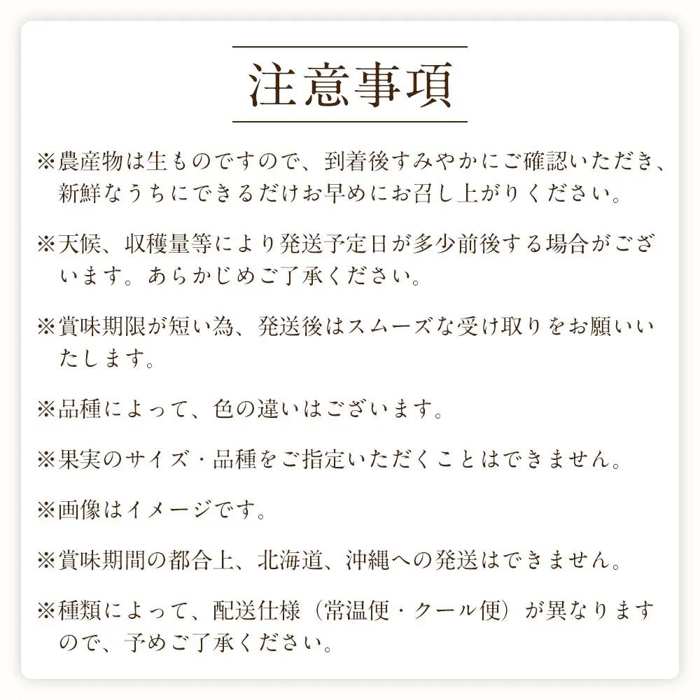定期便全3回 【7月・8月・9月発送】 和歌山の夏のフルーツをお届け（桃・梨・シャインマスカット） ［TM224］