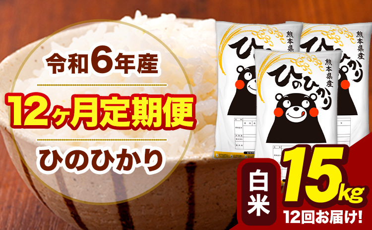 令和6年産 【12ヶ月定期便】 白米 米 ひのひかり 15kg《お申し込み月の翌月から出荷開始》熊本県 大津町 国産 熊本県産 白米 送料無料 ヒノヒカリ こめ お米---hn6tei_528000_15kg_mo12_oz_h---