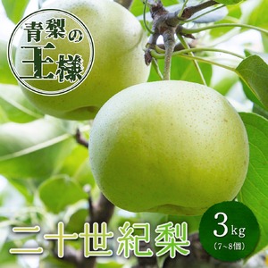 Y987 二十世紀梨(秀) 3L 3kg