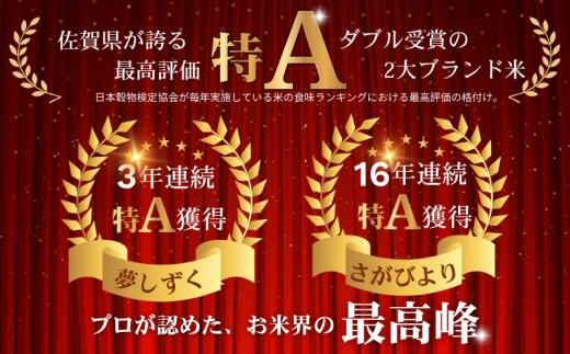 【先行予約】【新米】令和8年 佐賀県産「さがびより」5kg _1月発送：A095-061-03
