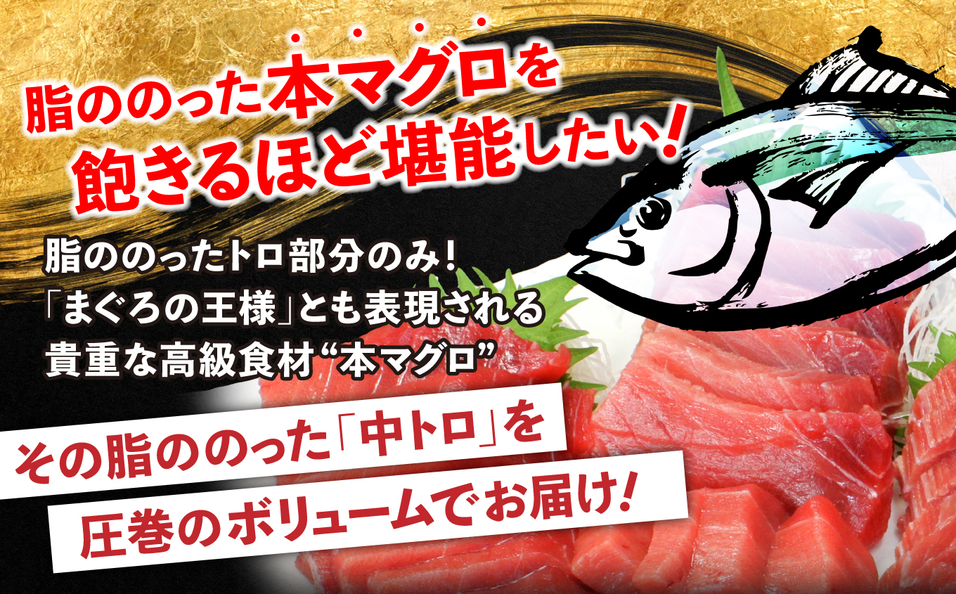 【単品】本マグロ訳あり中トロ700g！解凍レシピ付【DG008】|いわき市 ふるさと納税 株式会社東日本貿易 鮪 本鮪 本まぐろ マグロ トロ とろ 刺し身 さしみ さかな 海鮮 寿司 解凍レシピ付