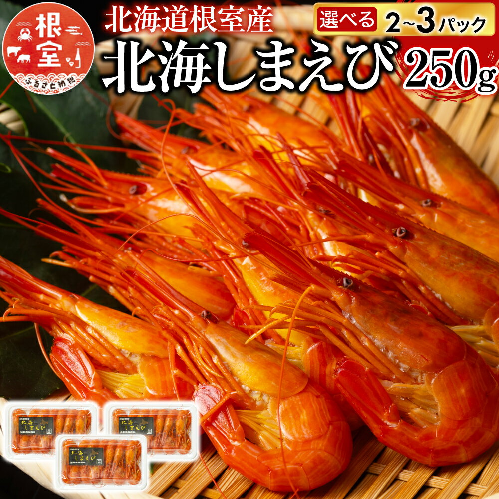 【ふるさと納税】【12月14日決済確定分まで年内配送】 [北海道根室産] 北海しまえび 250g 選べる 2P 〜 3P エビ えび 海老 シマエビ 北海シマエビ 海鮮 北海道 根室市（クラウドファンディング対象）