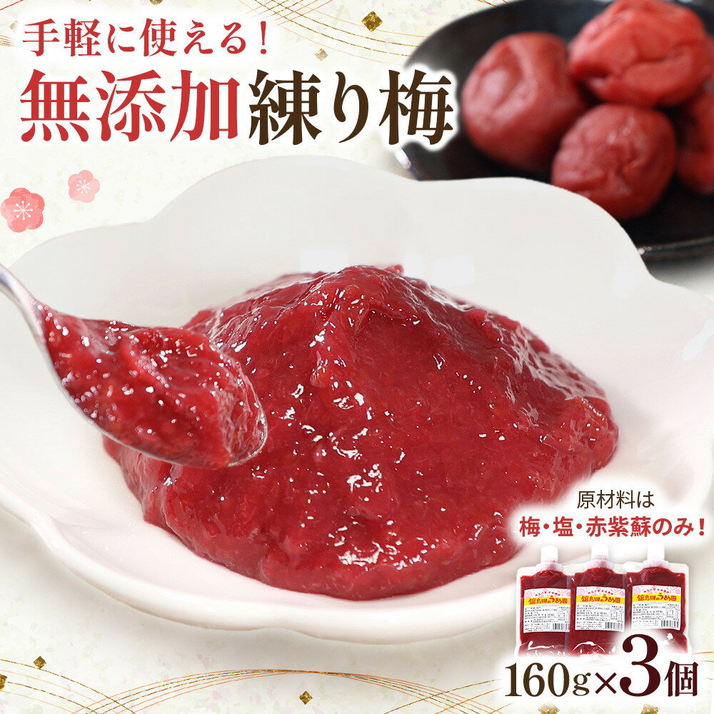 【ふるさと納税】無添加 練り梅 160g × 3個 | 手作り 梅干 梅干し うめぼし うめ干し 塩分 15% 〜 18% すっぱい 熱中症対策 お試し お取り寄せ 国産 人気 おすすめ 宮城