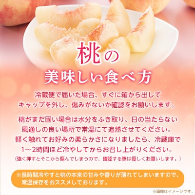 山梨厳選旬の桃 約1kg(3～4玉)【配送不可地域：離島】