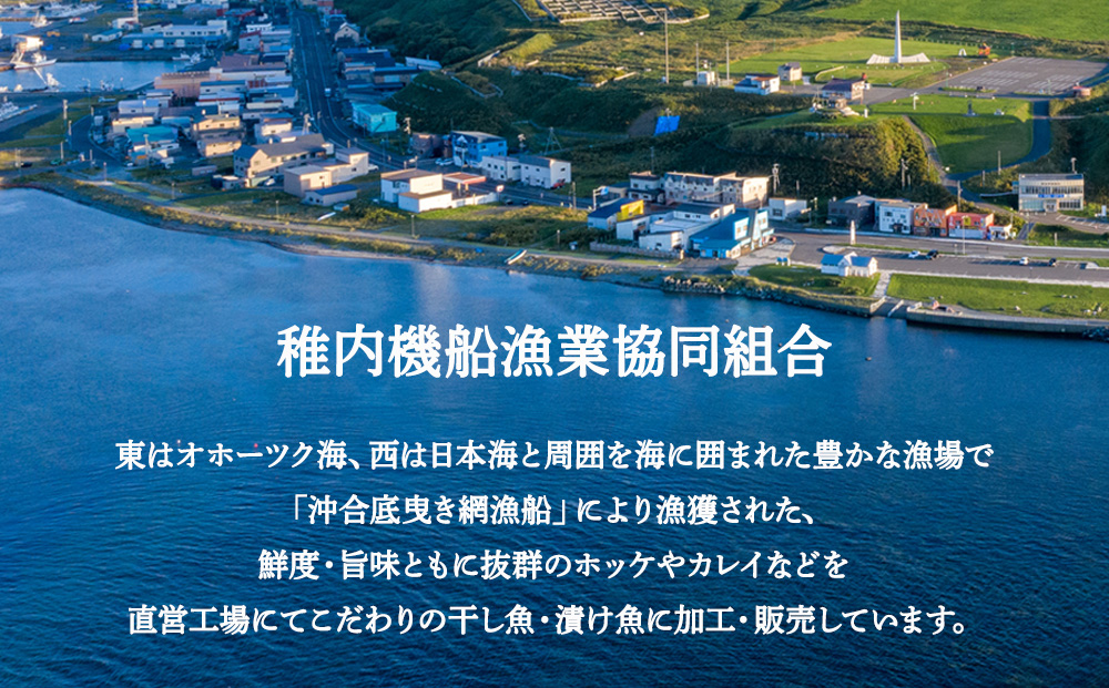 稚内5魚種一夜干セット（極味干し）