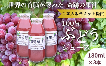 ぶどうジュース3本+ぶどうジャムおまかせ2種詰合せ 