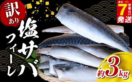 ＼最短7営業日以内発送／ 塩 サバ フィーレ ＜ 訳あり ＞ 約 3kg  さば サバ 鯖 saba 塩サバ 塩さば 塩鯖 フィレ 国産 人気 ボリューム 魚介 冷凍 訳有り グルメ おかず 惣菜 弁