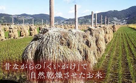 【わら屋のお米】 令和7年産 特別栽培米 はえぬき 10kg 『おがわ藁農園』 米 白米 精米 ご飯 農家直送 山形県 南陽市 [2068]
