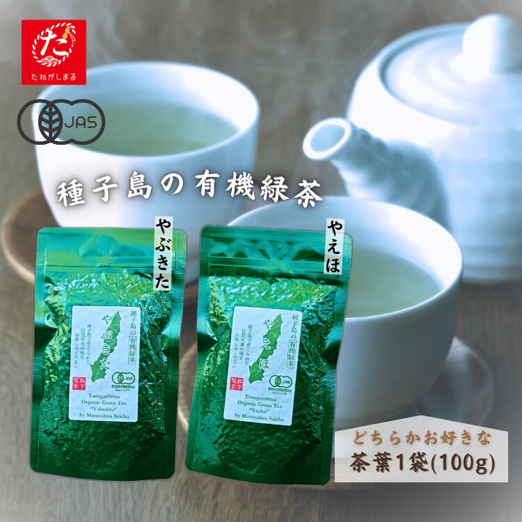 【ふるさと納税】種子島 の 選べる 有機 緑茶 （リーフ） 1袋 新茶