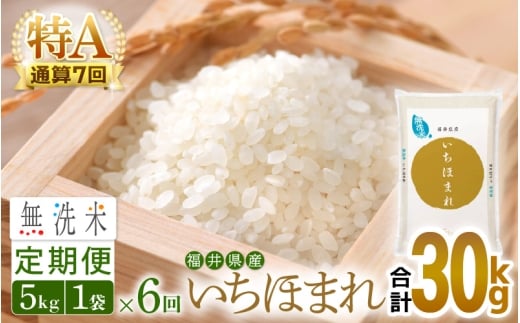 特A通算7回！お米 令和7年産 無洗米 定期便 6回 いちほまれ 5kg × 6回（計30kg）福井県産【米 コメ kome 6ヶ月連続 計30キロ 精米 白米 便利 時短】 [e27-i010]