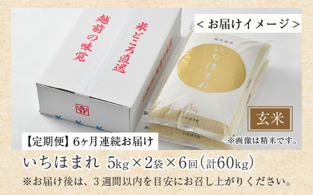 【令和7年産・新米】定期便6回 いちほまれ 玄米 10kg×6回（計60kg）《新鮮な高品質米をお届け！》／ 福井県産 ブランド米 ご飯 [aw064-l002]