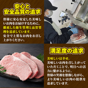 宮崎牛 カルビ焼肉(1kg・500g×2P) 牛肉 肉 ブランド牛  冷凍 国産 精肉 お取り寄せ 黒毛和牛 宮崎県 BBQ【LJ011】【レグセントジョイラー株式会社】