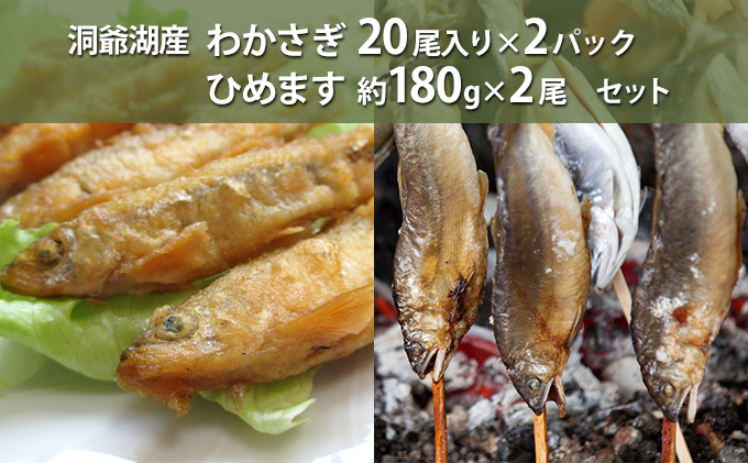 洞爺湖産わかさぎ(20尾入り×2P)・ひめます約180g×2尾セット 北海道産 ワカサギ わかさぎ 川魚 魚介類 産地直送 冷凍 お取り寄せ グルメ 料理 天ぷら フライ とうやマルシェ 北海道 洞爺湖町