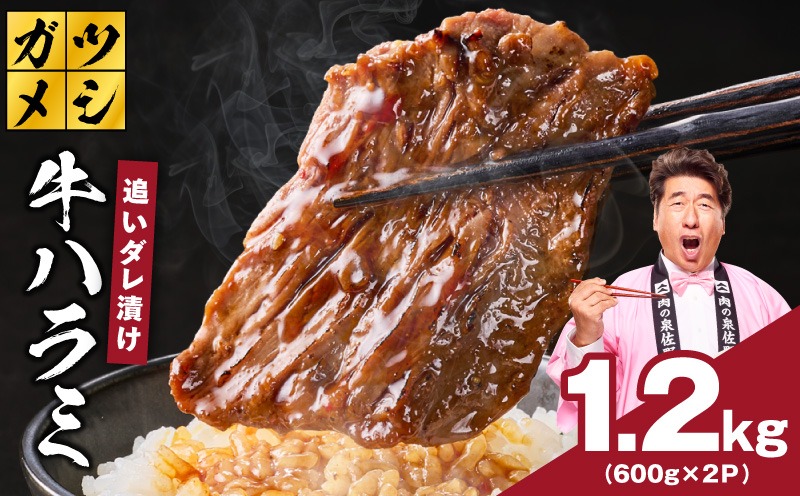 G4018 ガツめし牛ハラミ 1.2kg 追いダレ漬け【焼肉 600g×2P はらみ ハラミ 牛肉 訳あり サイズ不揃い】