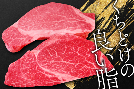 D-295 松永和牛A5ランク　最高級ヒレステーキ2枚