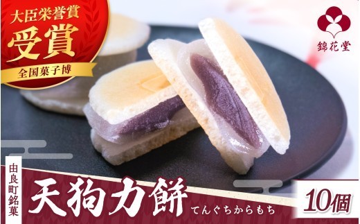 
                  老舗の味 天狗力餅10個入　和菓子　力もち　こし餡　職人の手作り / 銘菓 和菓子 こしあん 由良町 お取り寄せ お土産 ギフト 和歌山県【knkd005】
                