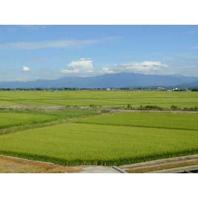 ふるさと納税 南魚沼市 【令和7年産 10月発送】雪温精法　南魚沼産こしひかり　精米　2kg |  | 02