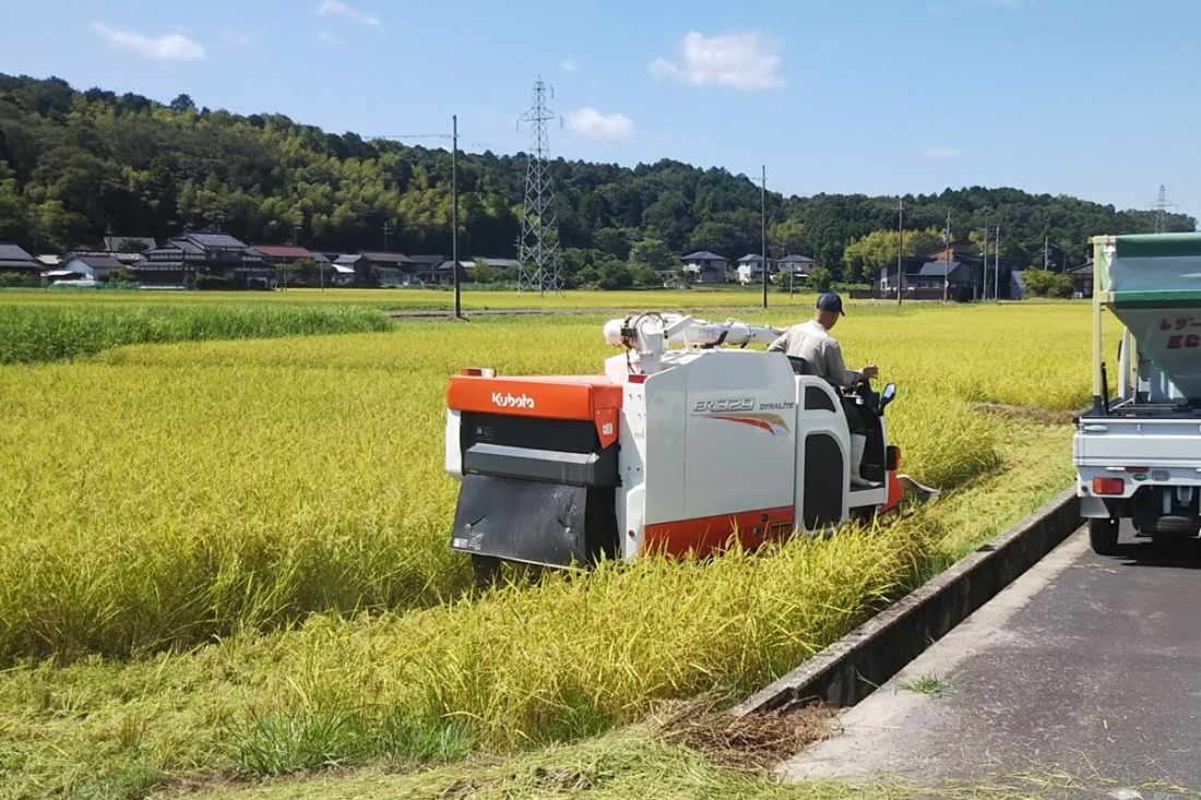 京都・峰山長岡産 丹後こしひかり 玄米5kg　MH00001