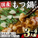 【ふるさと納税】モツ鍋 セット (3-4人前・ホルモン500g・豚バラ300g・ちゃんぽん麺2玉・もつダレ1本) もつ鍋 便利 簡単 惣菜 鍋 おつまみ 牛肉 豚肉 大分県 佐伯市【BD203】【西日本畜産 (株)】