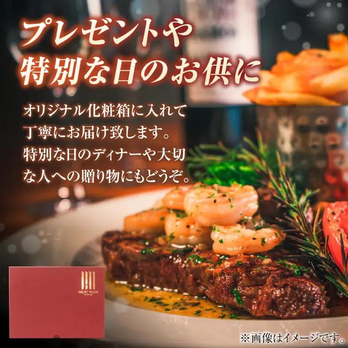 【6回定期便】サーロインステーキセット 500g（250g×2枚）  [AFBO007]