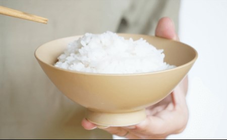 【波佐見焼】DAILY MAT シリーズ 茶碗 4色セット【永峰製磁】【eiho】 [RA33]