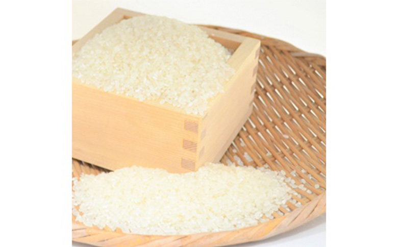 令和7年産　つや姫 精米 10kg 宮城県白石市産【0616501】 精米(10kg)