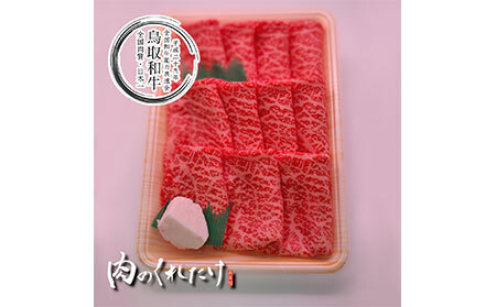 B25-002 鳥取和牛モモスライス　冷凍500g