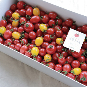 CK-1　ドロップファームの美容トマトおまかせ3kg箱(４種ミックス)
