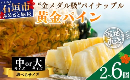 
                  ＜先行予約＞ 石垣島産 黄金パイン 2～6玉入 約2.6～9.0kg ＜2026年7月以降発送＞【大きさと数量が選べる】
                