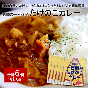 たけのこカレー1人前×6個セット【08105】