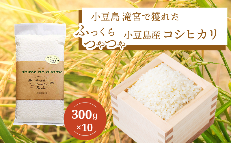コシヒカリ こしひかり 米 お米 3kg 300g × 10個 2合 お試し 少量 小豆島産 小豆島 香川県産 国産 白米 精米 滝宮 たきのみや ごはん ご飯 白ごはん おにぎり お弁当 卵かけご飯 チャーハン カレー 主食 ストック 香川県 土庄町