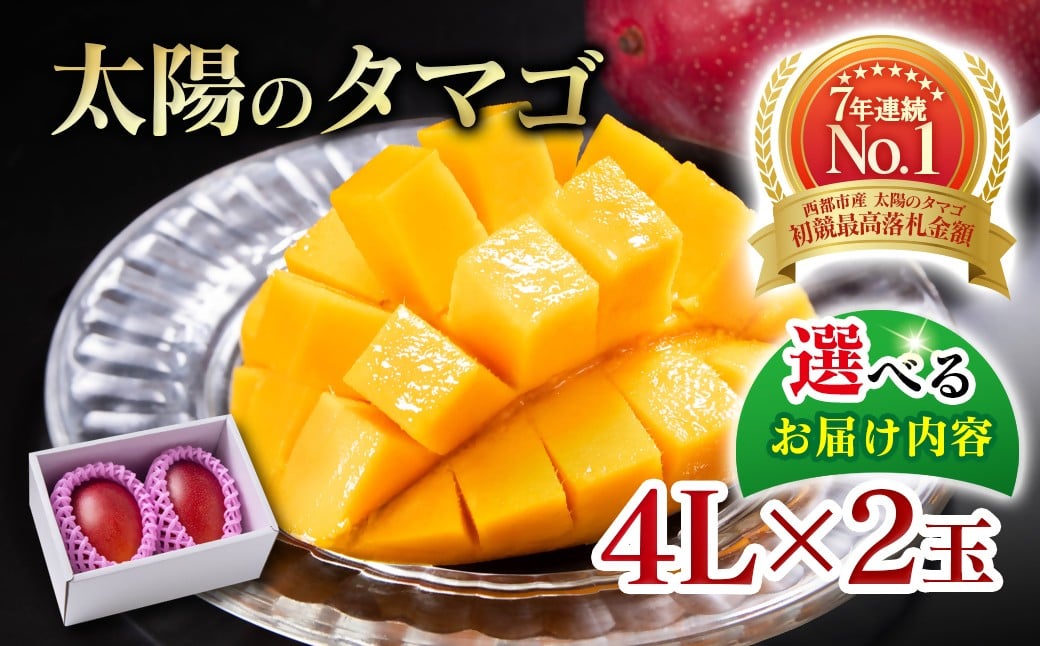 
            【選べる内容】最高級ブランド『太陽のタマゴ』特大4Lサイズ2個入り【糖度15度以上】宮崎県西都市産完熟マンゴー＜5-16＞宮崎完熟マンゴー 果物 フルーツ 甘い 大玉【先行予約】2026年発送
          