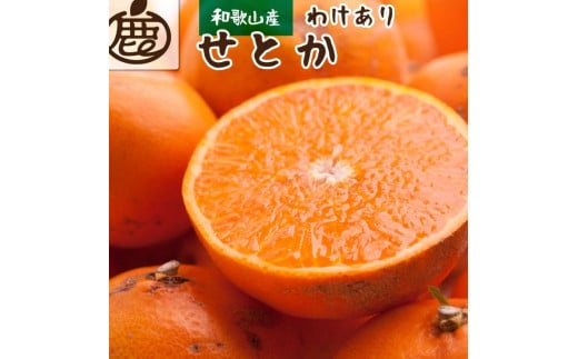 家庭用 せとか 10kg+250g（痛み補償分） 光センサー / 訳あり 甘い 和歌山 柑橘 ※2月上旬～4月上旬頃に順次発送 ※北海道・沖縄・離島への配送不可 【ikd014-c-10】