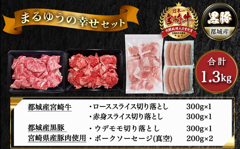 宮崎牛と黒豚+ポークソーセージの詰め合わせセット〔N4-001〕