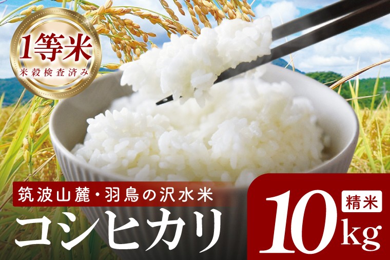 
                  令和8年産米 筑波山麓・羽鳥の沢水米 コシヒカリ 精米 10kg【茨城県共通返礼品：桜川市】|お米 米 こしひかり 茨城県 取手市（CA002）
                