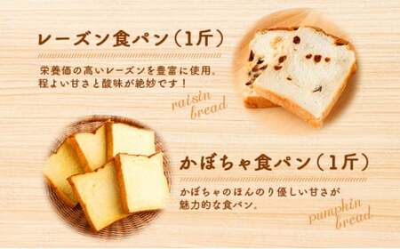 ３回定期便 食パンバラエティセット【室戸海洋深層水仕込み】  4斤×3回 食パン もちもち ぱん 北海道産小麦使用