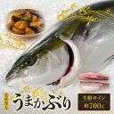 【ふるさと納税】天草育ち 活じめ うまか ぶり 生鮮 ロイン 2節 約 700g 切るだけ 手間いらず