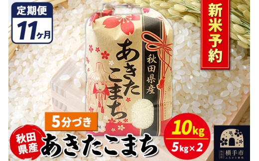《令和8年産 新米受付》《定期便11ヶ月》あきたこまち 10kg【5分づき】秋田県産 こまちライン [新米 先行予約 こまちライン あきたこまち ブランド米 お米 5分搗き 5分づき 米どころ 秋田 秋田県産]