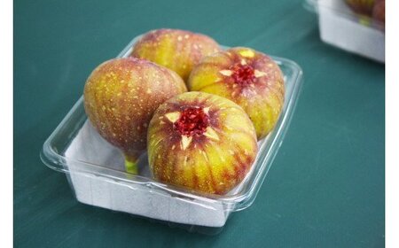 【福岡県産】とよみつひめ（イチジク）　１.２ｋｇ（３００ｇ×４Ｐ） 2J7