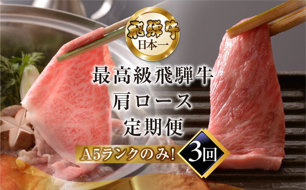
                  【定期便 3回】高級 飛騨牛食べ比べ 定期便 3カ月 毎月 【冷蔵配送】 定期 贈答 ギフト 牛肉 焼き肉 牛 下呂 焼肉 ブランド牛 下呂魚介 肩ロース すき焼き しゃぶしゃぶ 下呂市
                