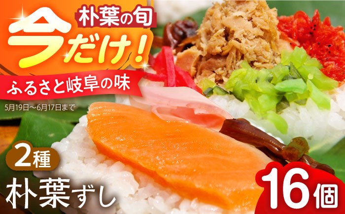
                  ＼5,6月限定／ 朴葉ずし 16個入（鮭×8 シーチキン×8） 美濃白川クオーレの里 / 白川町 / 大正茶屋 朴葉寿司 朴葉 すし [AWAP007]
                