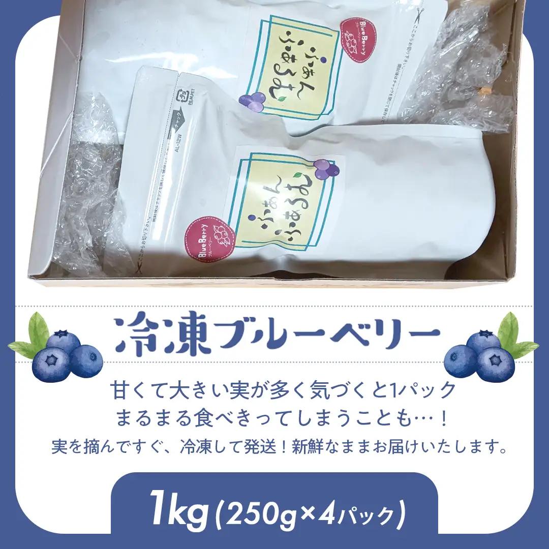 茨城県産 冷凍 ブルーベリー 合計 1kg (250g×4袋) 多品種 果実 果物 くだもの フルーツ おやつ ブルーベリー ベリー ジャム 小分け [DZ018sa]